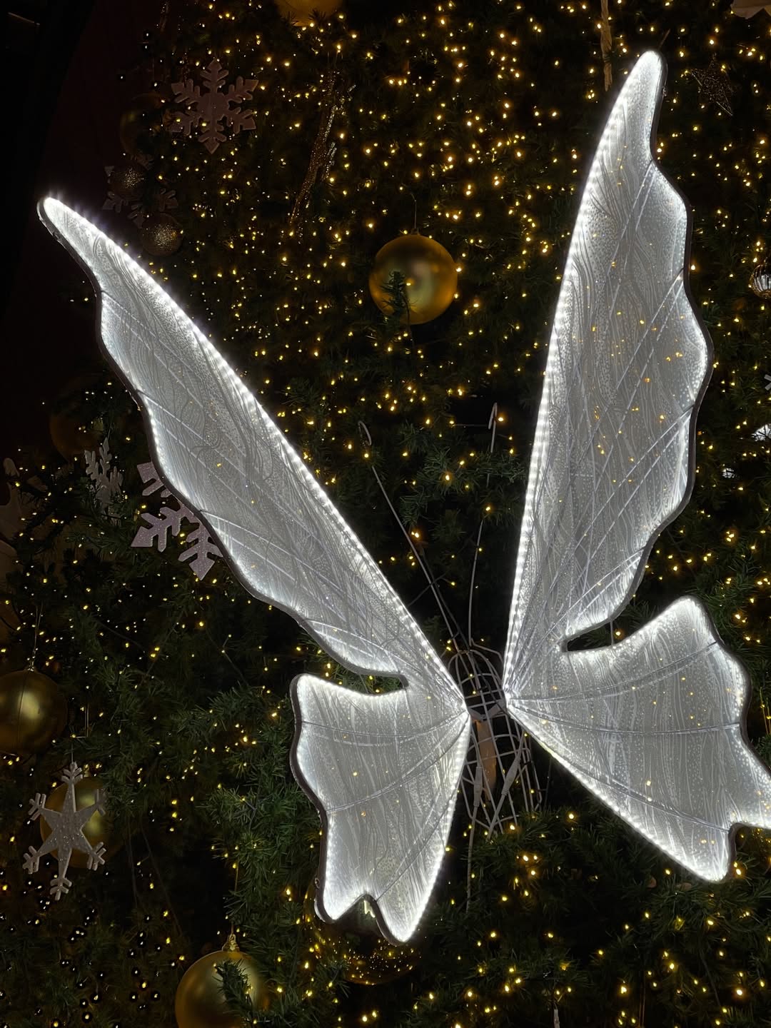 อาร์ม - วีรยุทธ จันทร์สุข