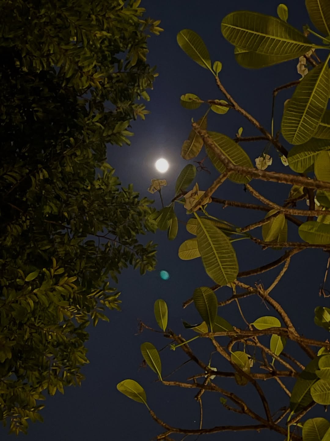 อาร์ม - วีรยุทธ จันทร์สุข