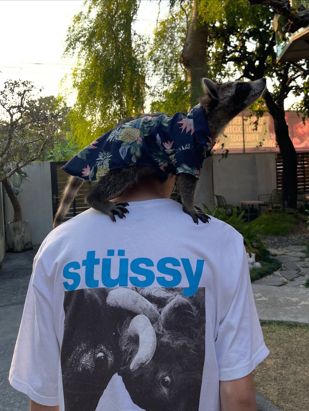 อาร์ม - วีรยุทธ จันทร์สุข