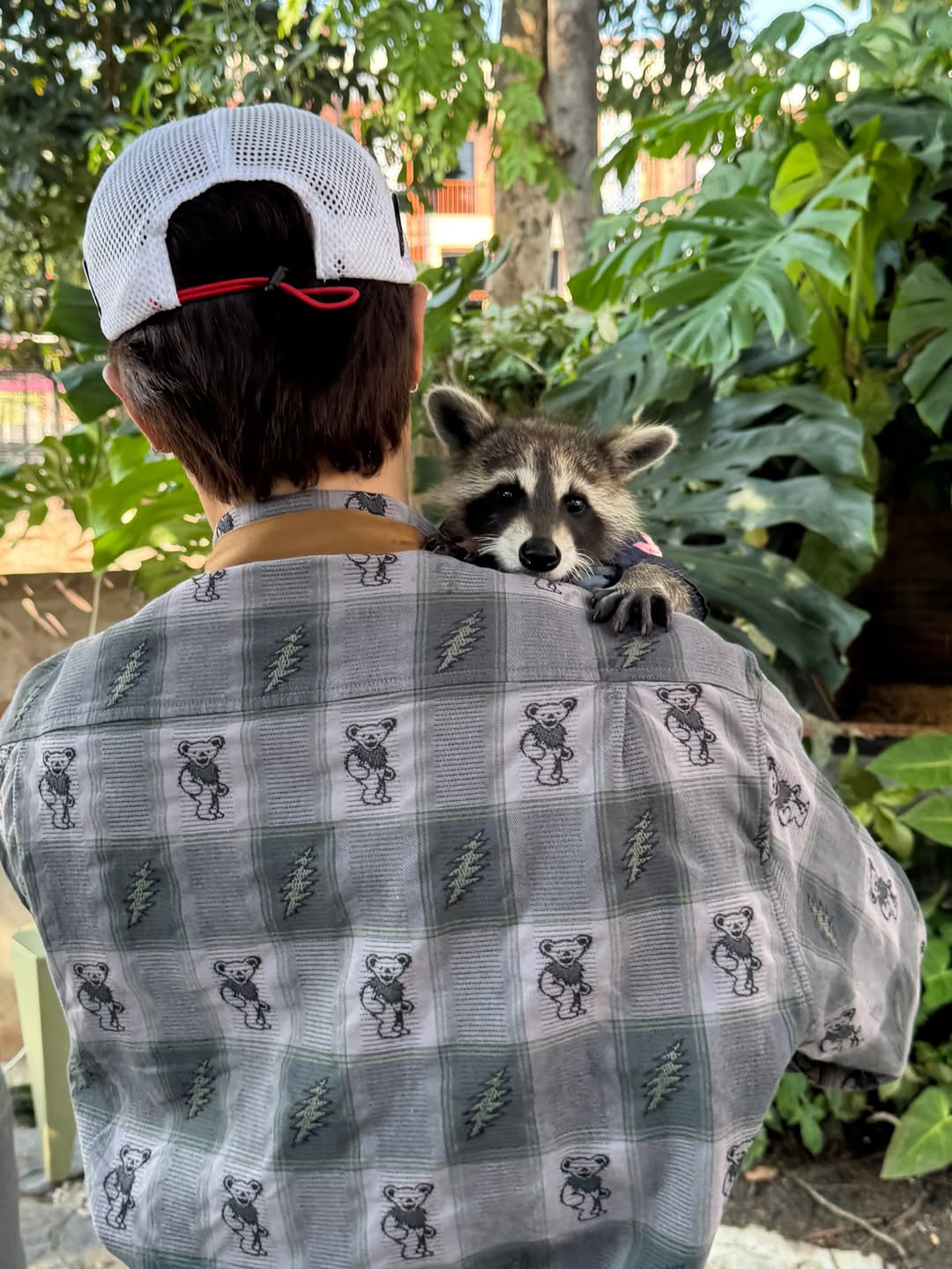 อาร์ม - วีรยุทธ จันทร์สุข