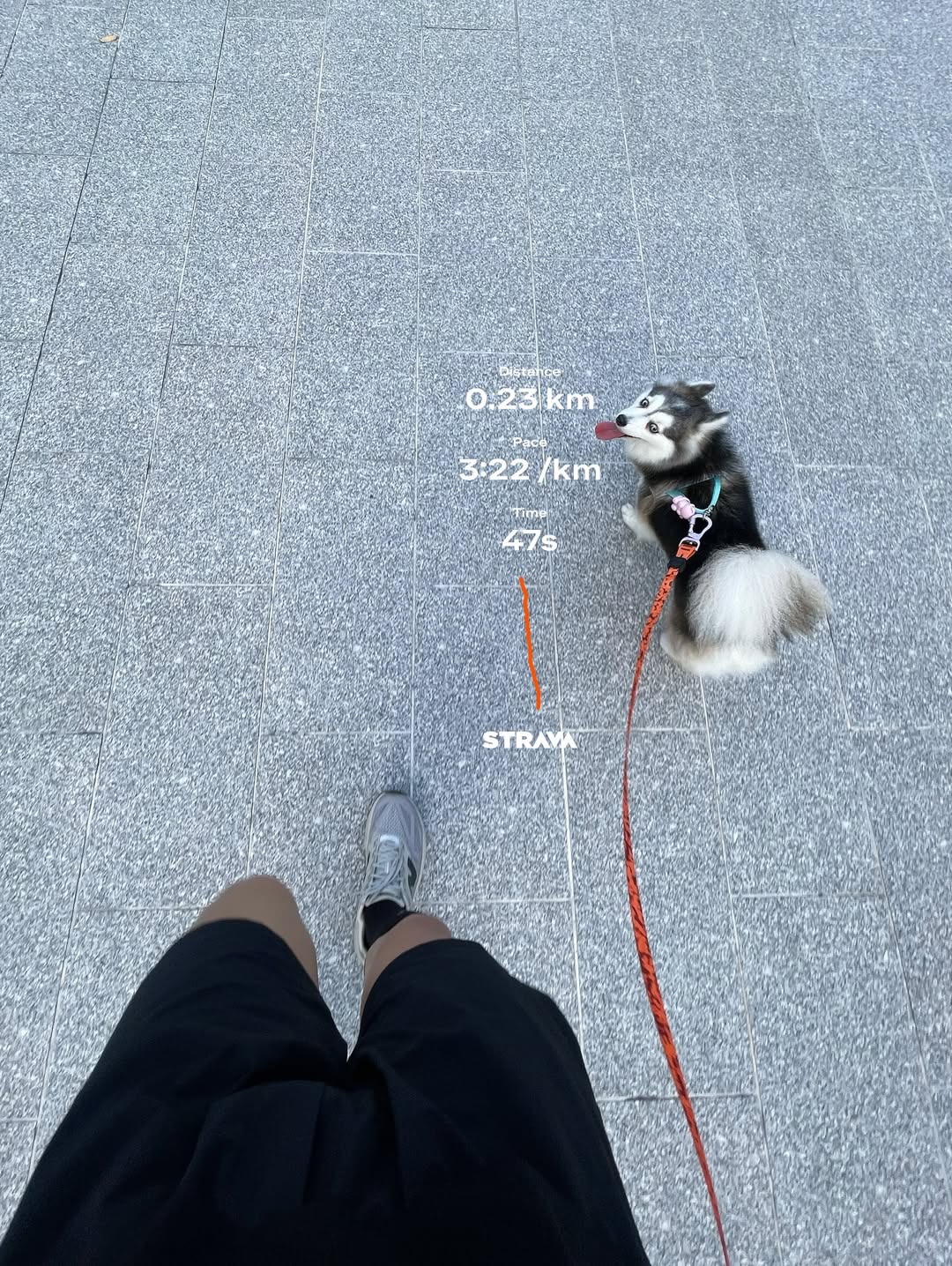 อาร์ม - วีรยุทธ จันทร์สุข