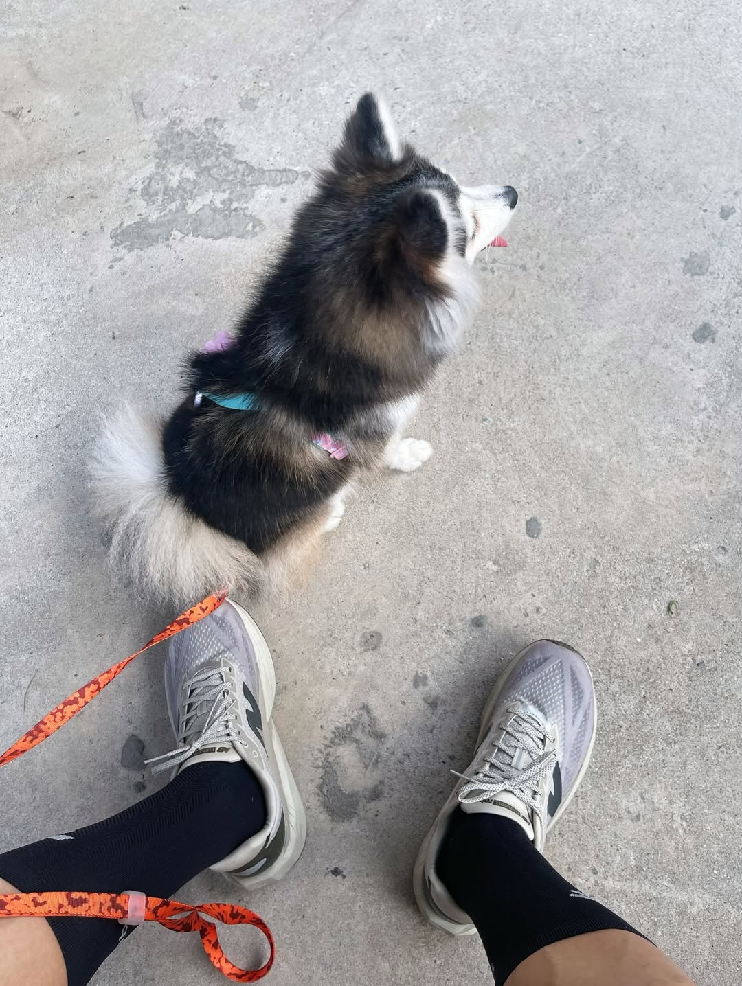 อาร์ม - วีรยุทธ จันทร์สุข