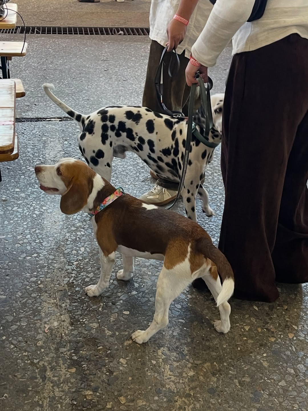 อาร์ม - วีรยุทธ จันทร์สุข