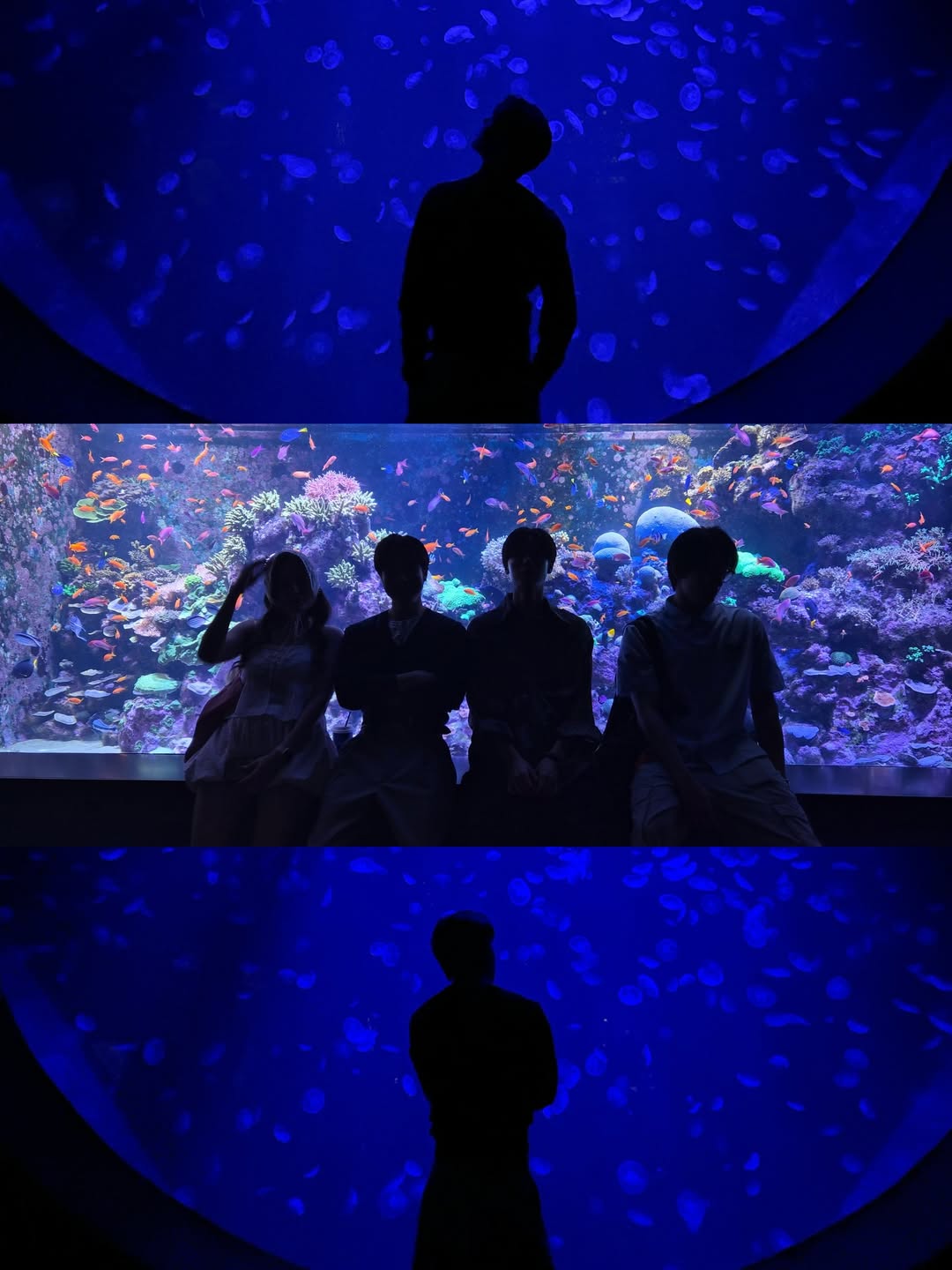 อาร์ม - วีรยุทธ จันทร์สุข