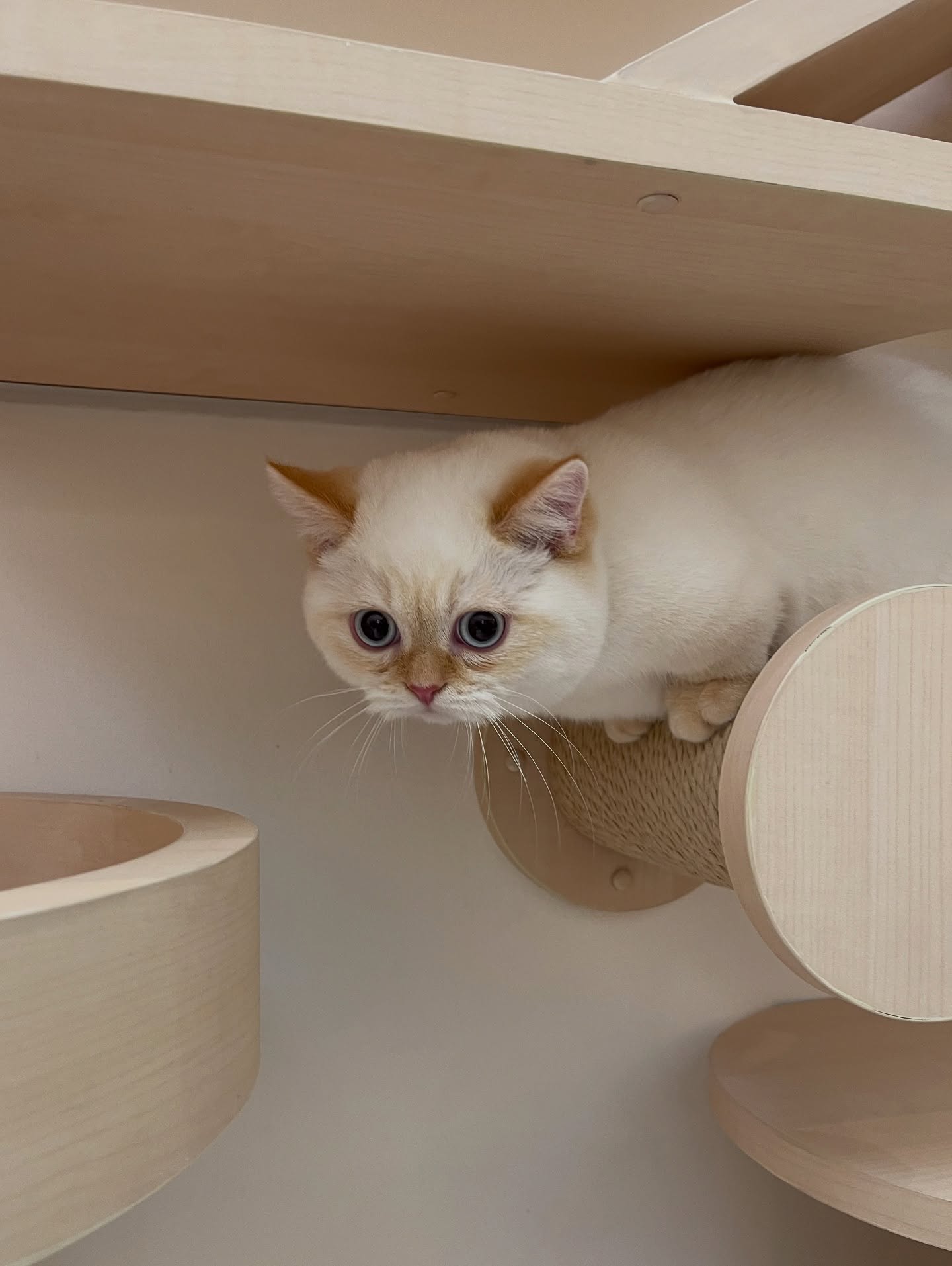 อาร์ม - วีรยุทธ จันทร์สุข