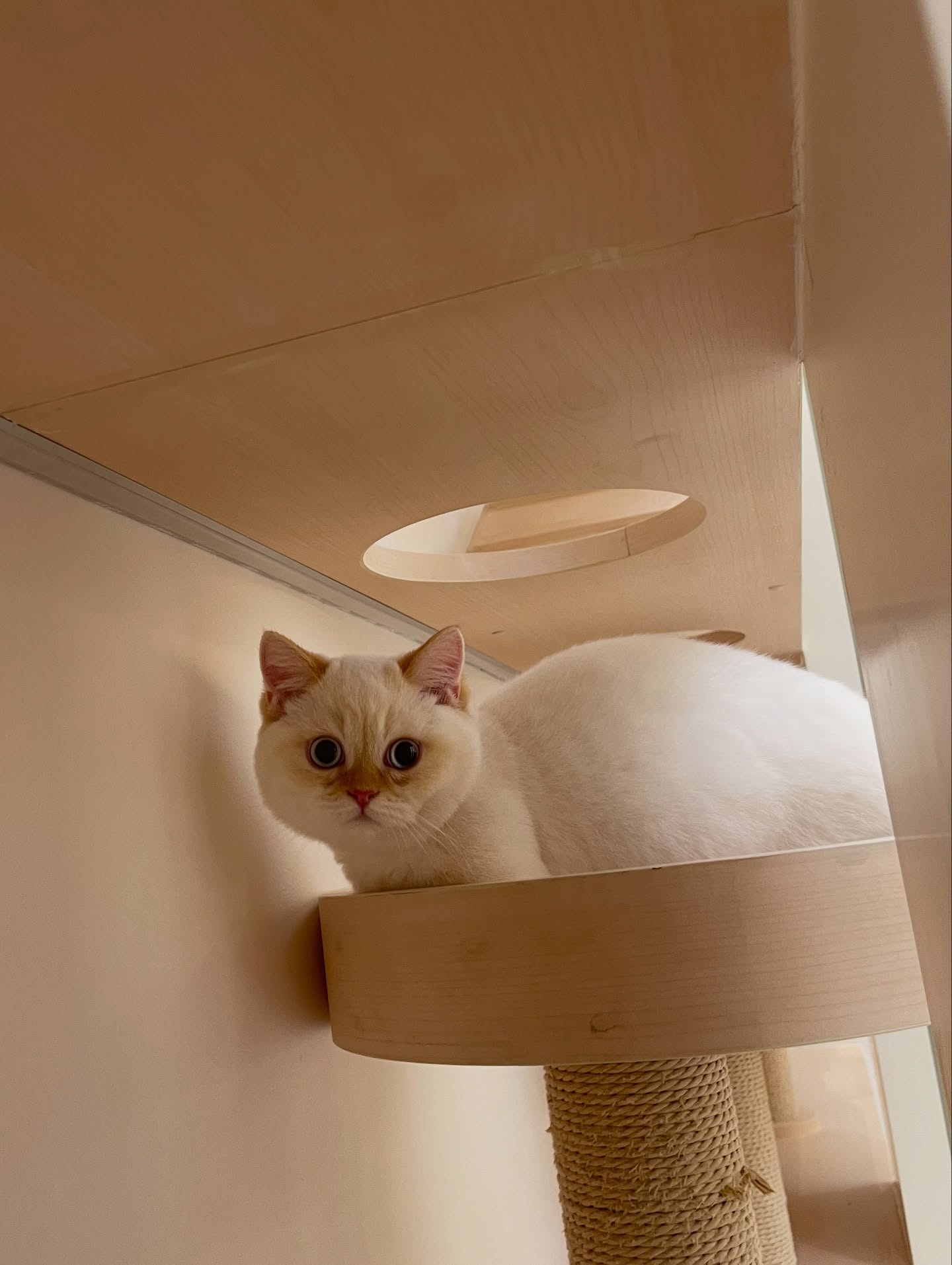 อาร์ม - วีรยุทธ จันทร์สุข