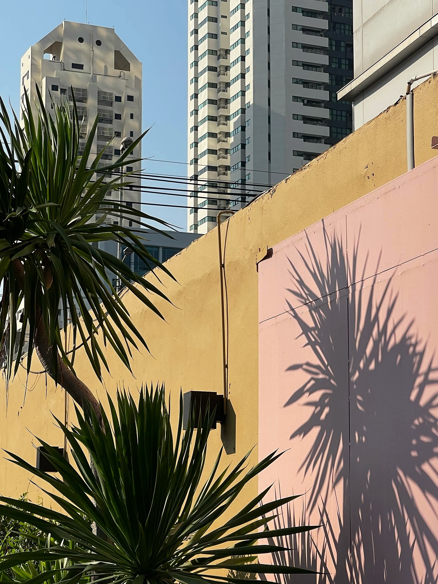 อาร์ม - วีรยุทธ จันทร์สุข