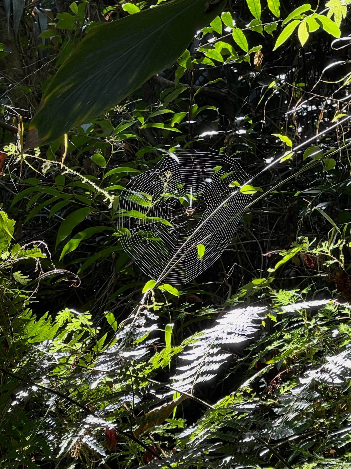 อาร์ม - วีรยุทธ จันทร์สุข