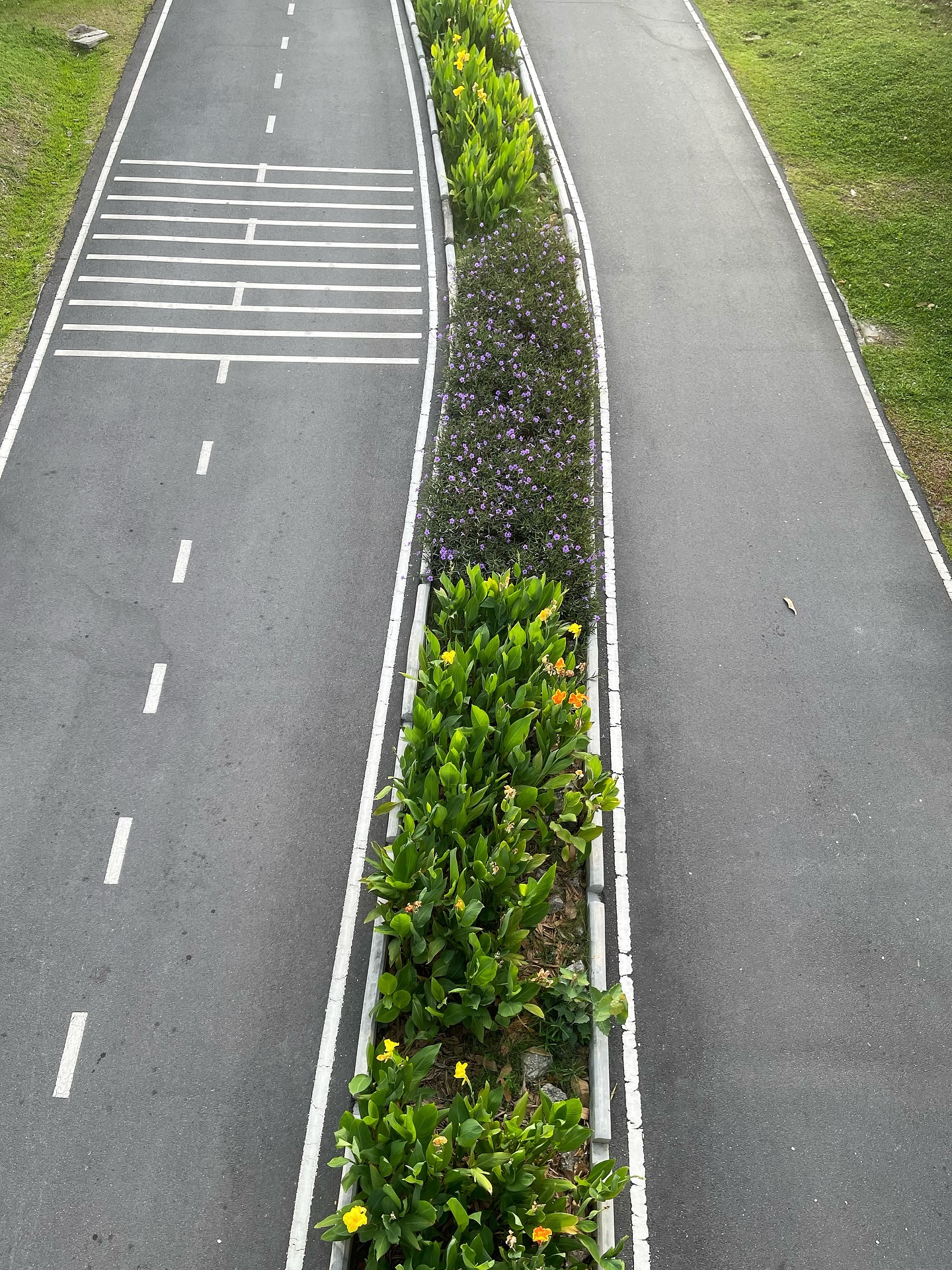 อาร์ม - วีรยุทธ จันทร์สุข