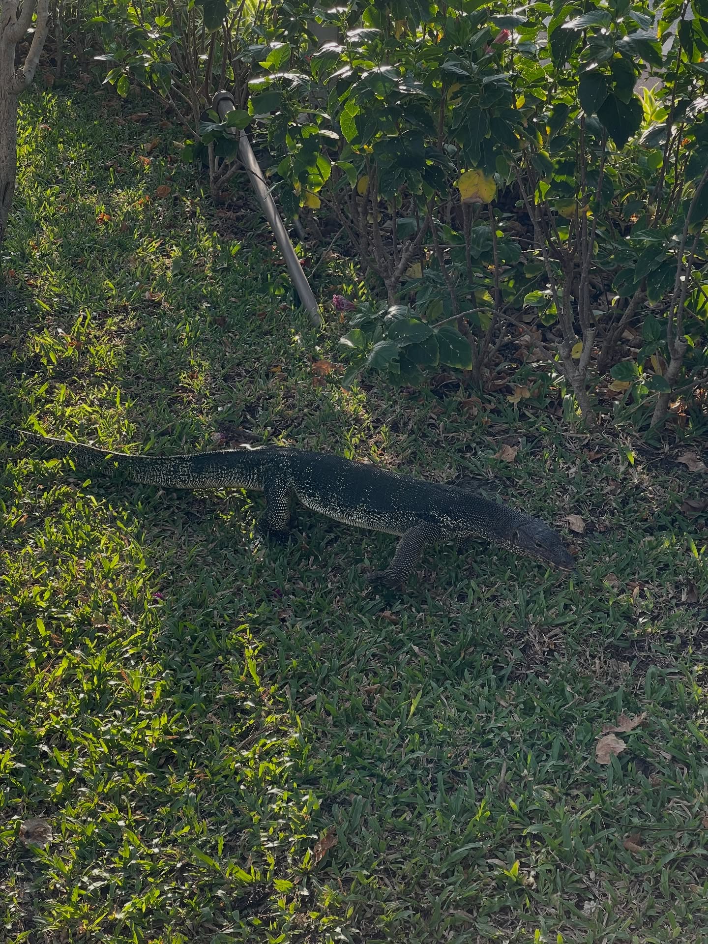 อาร์ม - วีรยุทธ จันทร์สุข