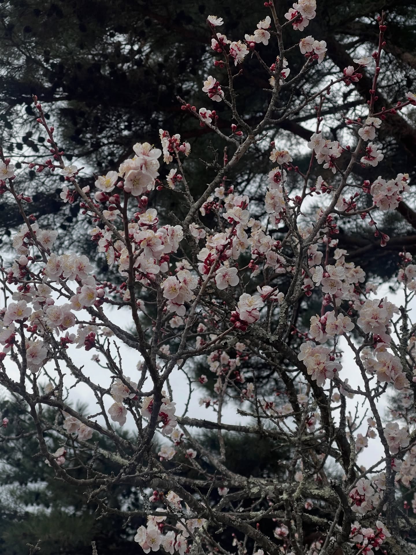 อาร์ม - วีรยุทธ จันทร์สุข