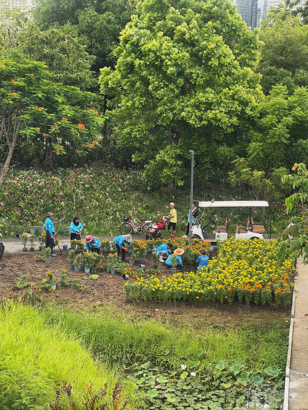 อาร์ม - วีรยุทธ จันทร์สุข