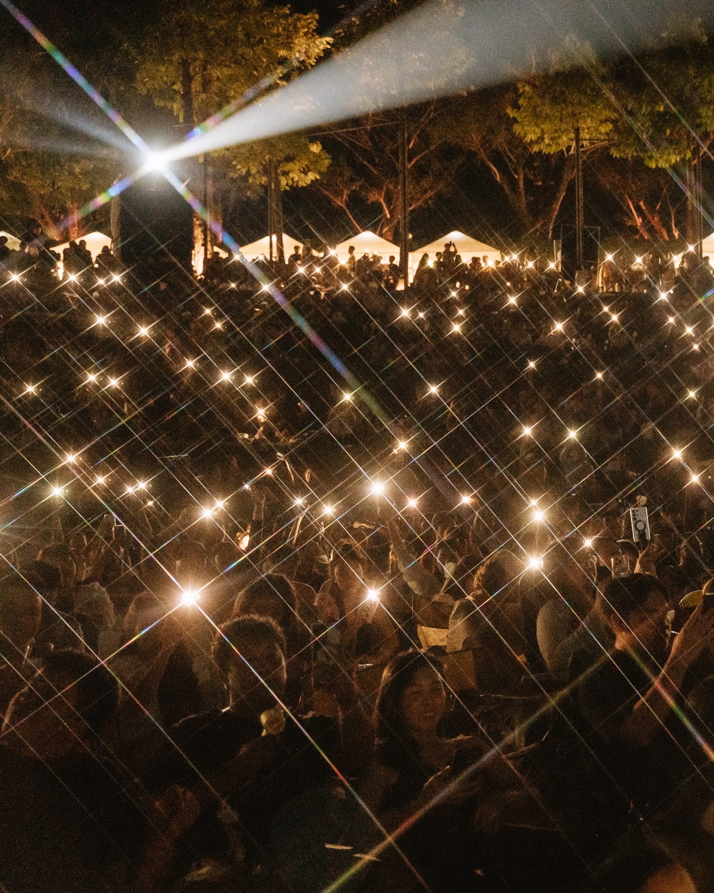 โต๋ - ศักดิ์สิทธิ์ เวชสุภาพร