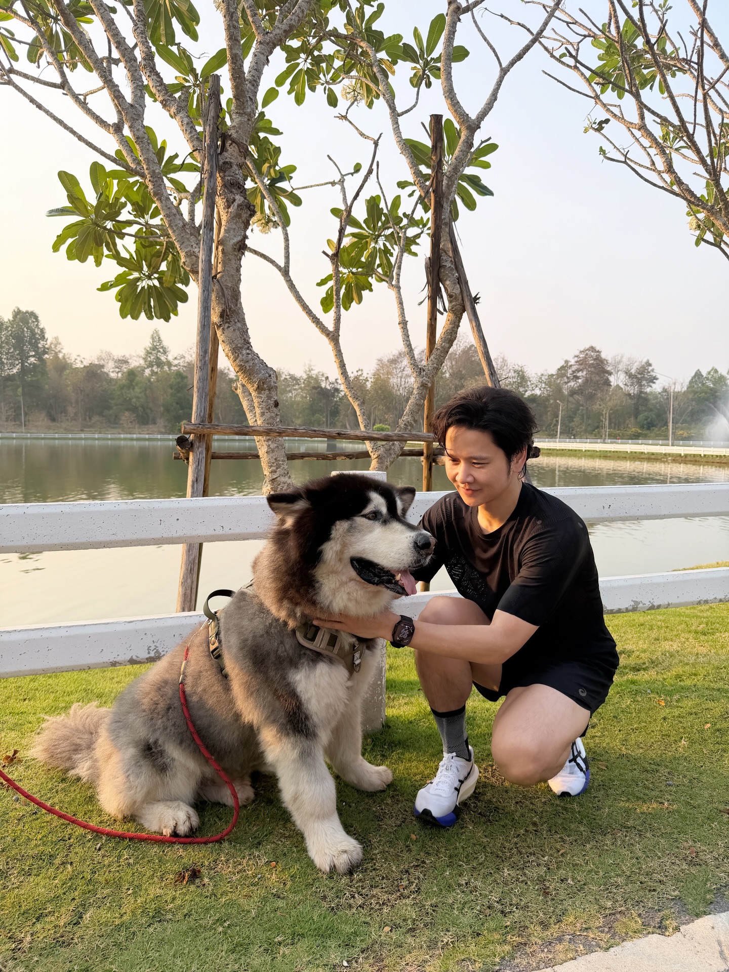 โต๋ - ศักดิ์สิทธิ์ เวชสุภาพร