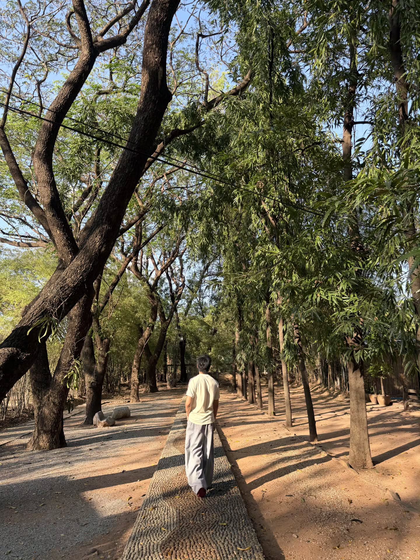 ออฟโรด - กันตภณ จิดาทวีผล