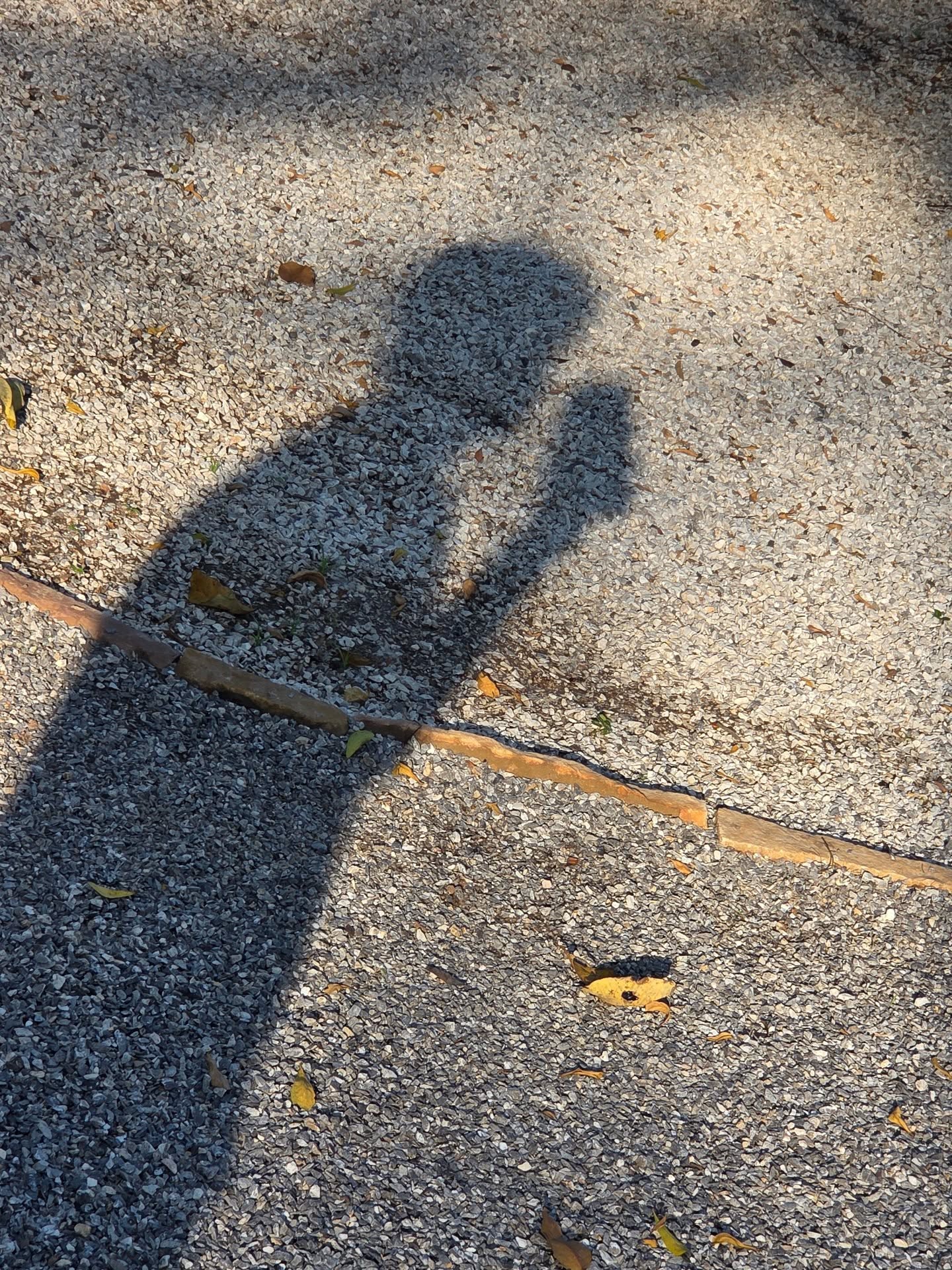 ออฟโรด - กันตภณ จิดาทวีผล