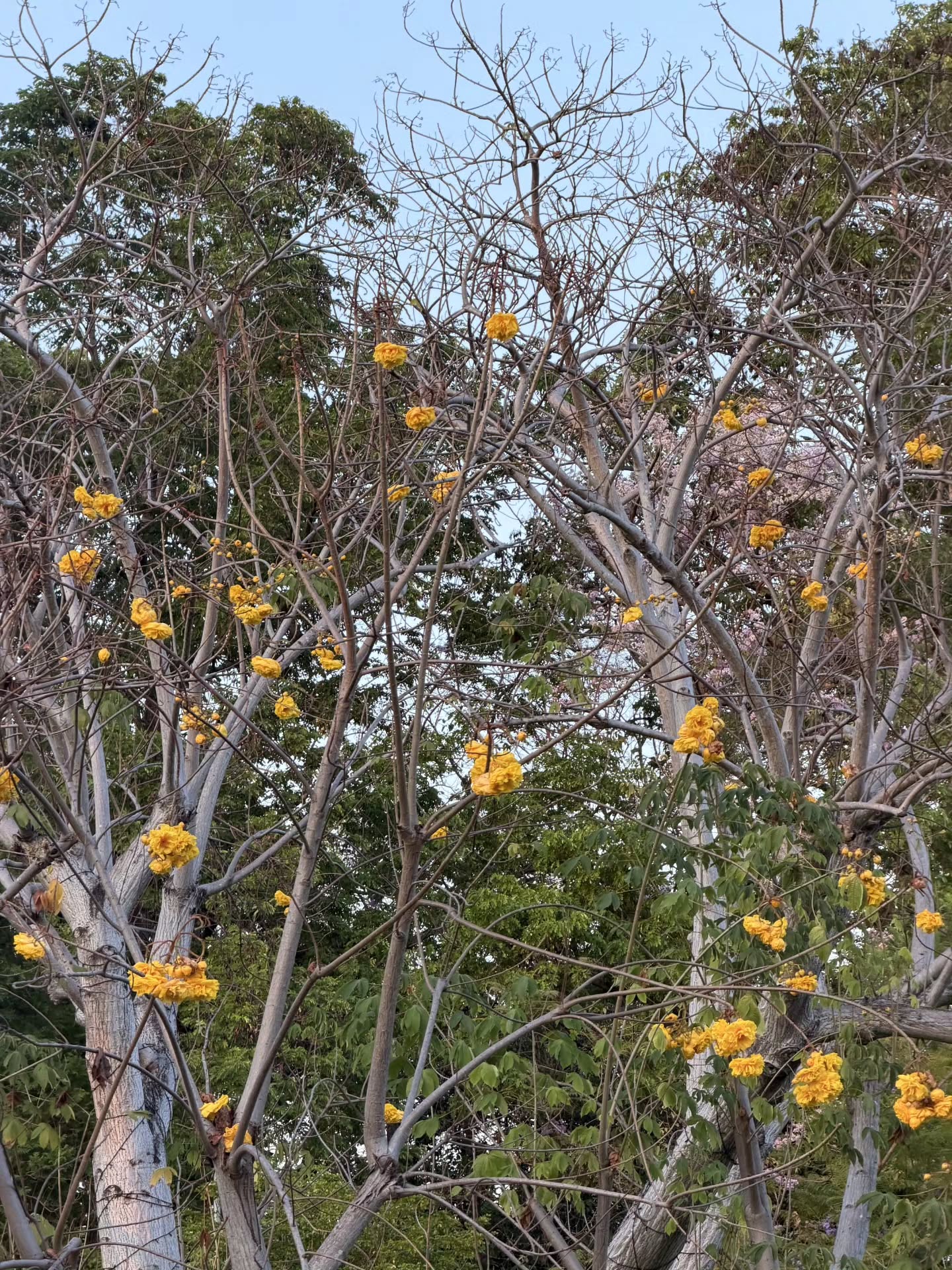 ออฟโรด - กันตภณ จิดาทวีผล