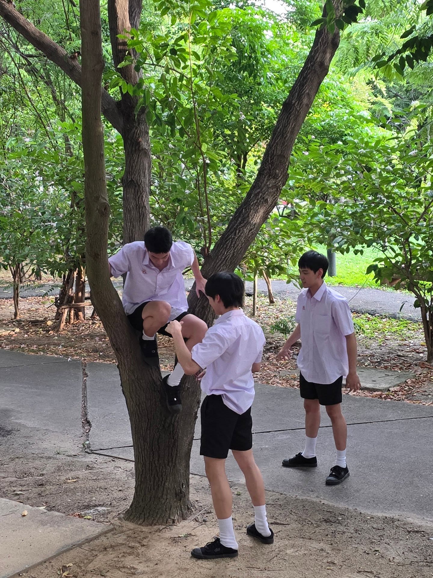 ออฟโรด - กันตภณ จิดาทวีผล