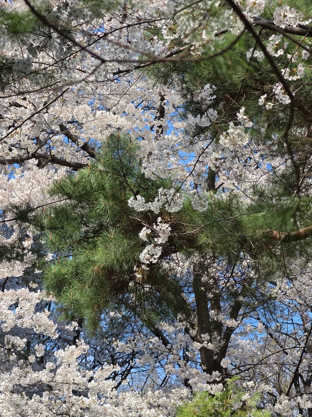 ออฟโรด - กันตภณ จิดาทวีผล