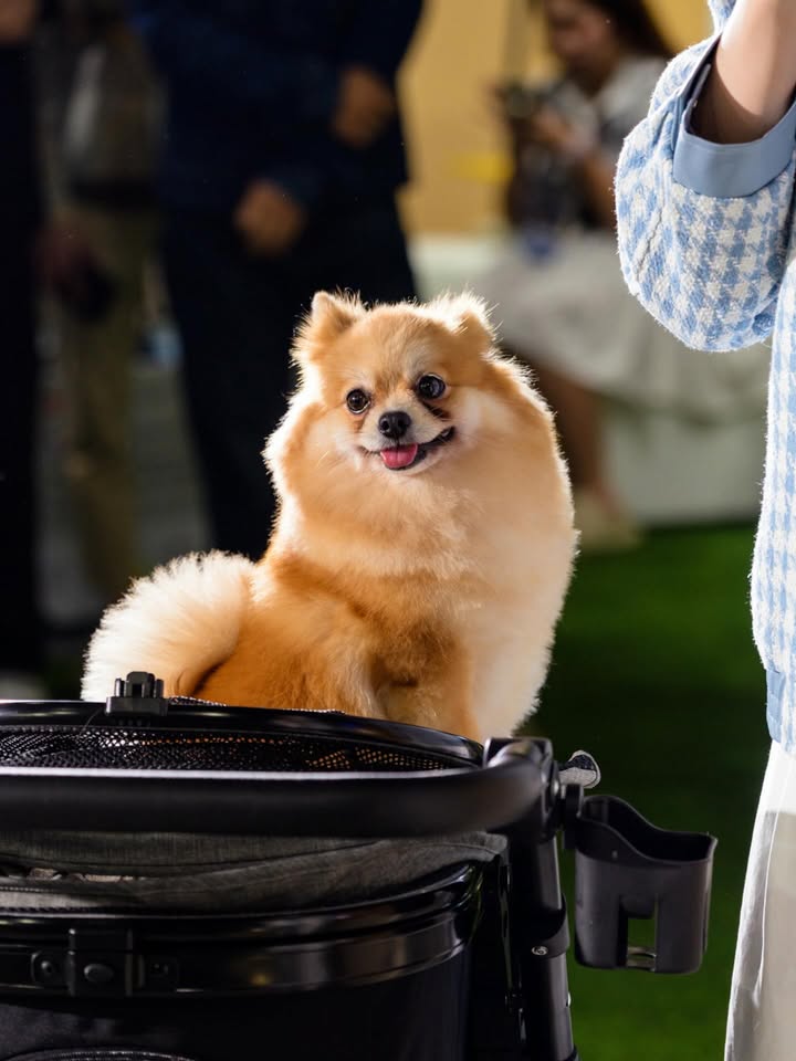 เติ้ล - มติมันท์ ศรีบุญเรือง