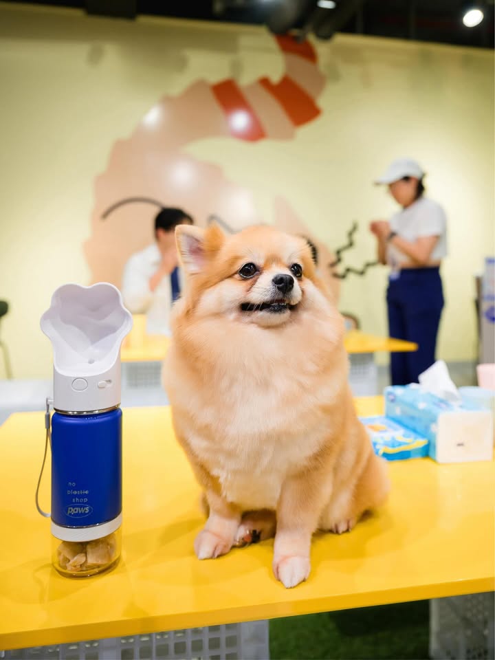 เติ้ล - มติมันท์ ศรีบุญเรือง