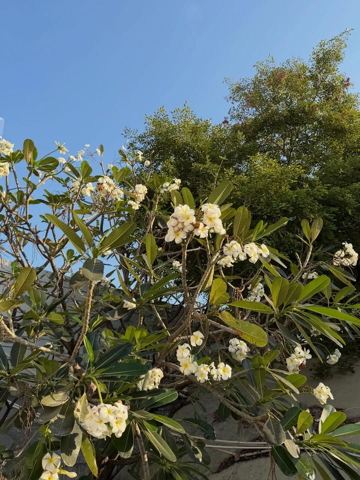 เติ้ล - มติมันท์ ศรีบุญเรือง