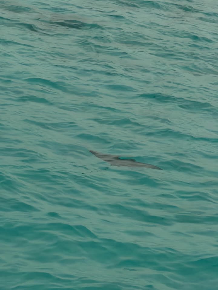 เติ้ล - มติมันท์ ศรีบุญเรือง