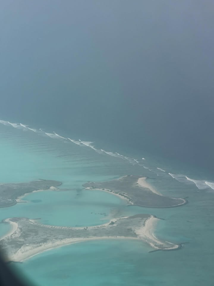 เติ้ล - มติมันท์ ศรีบุญเรือง