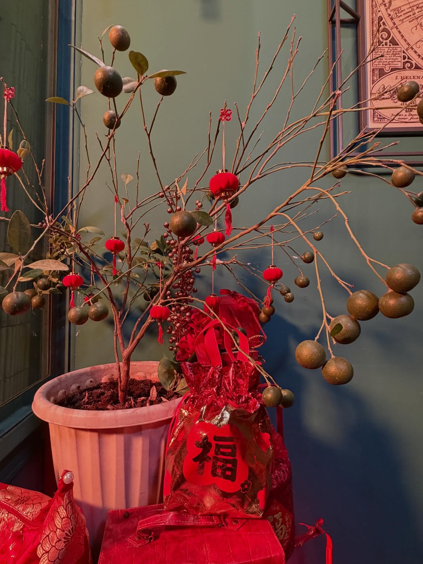 เติ้ล - มติมันท์ ศรีบุญเรือง