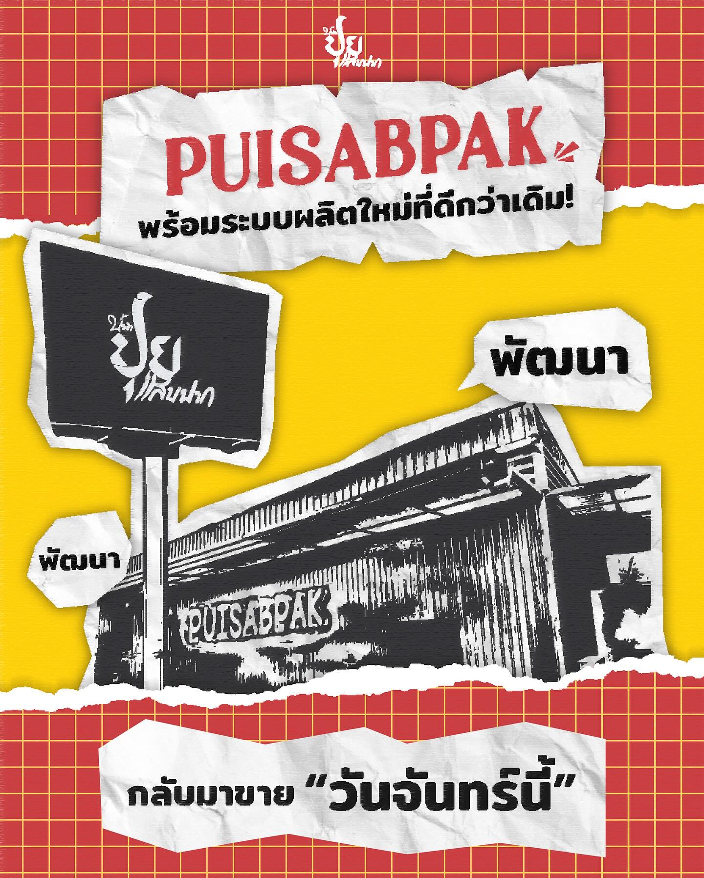 ปุยฝ้าย - ณัฏฐพัชร วิพัธครตระกูล
