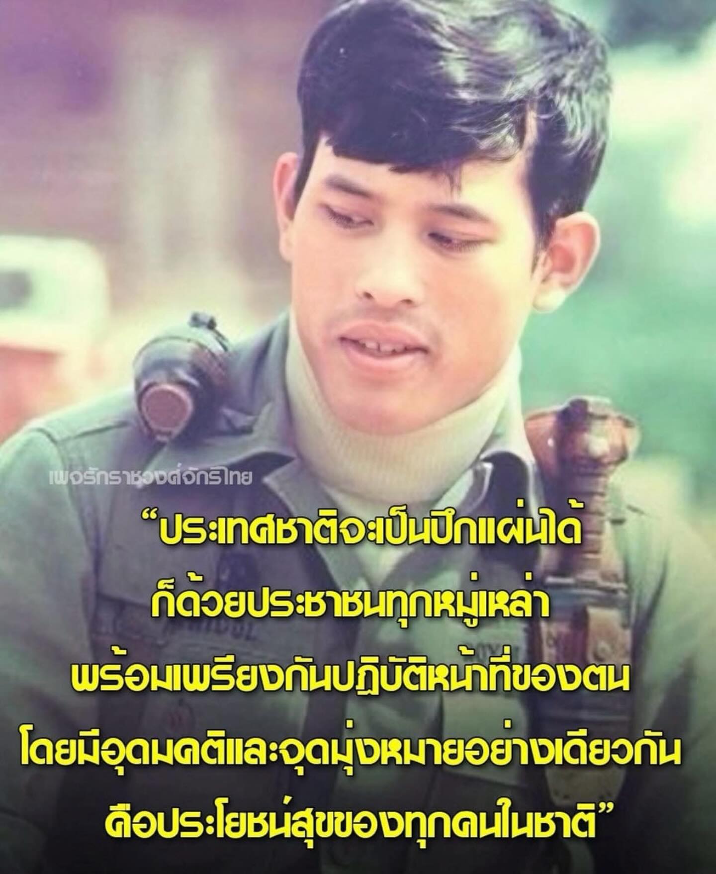 ปุยฝ้าย - ณัฏฐพัชร วิพัธครตระกูล