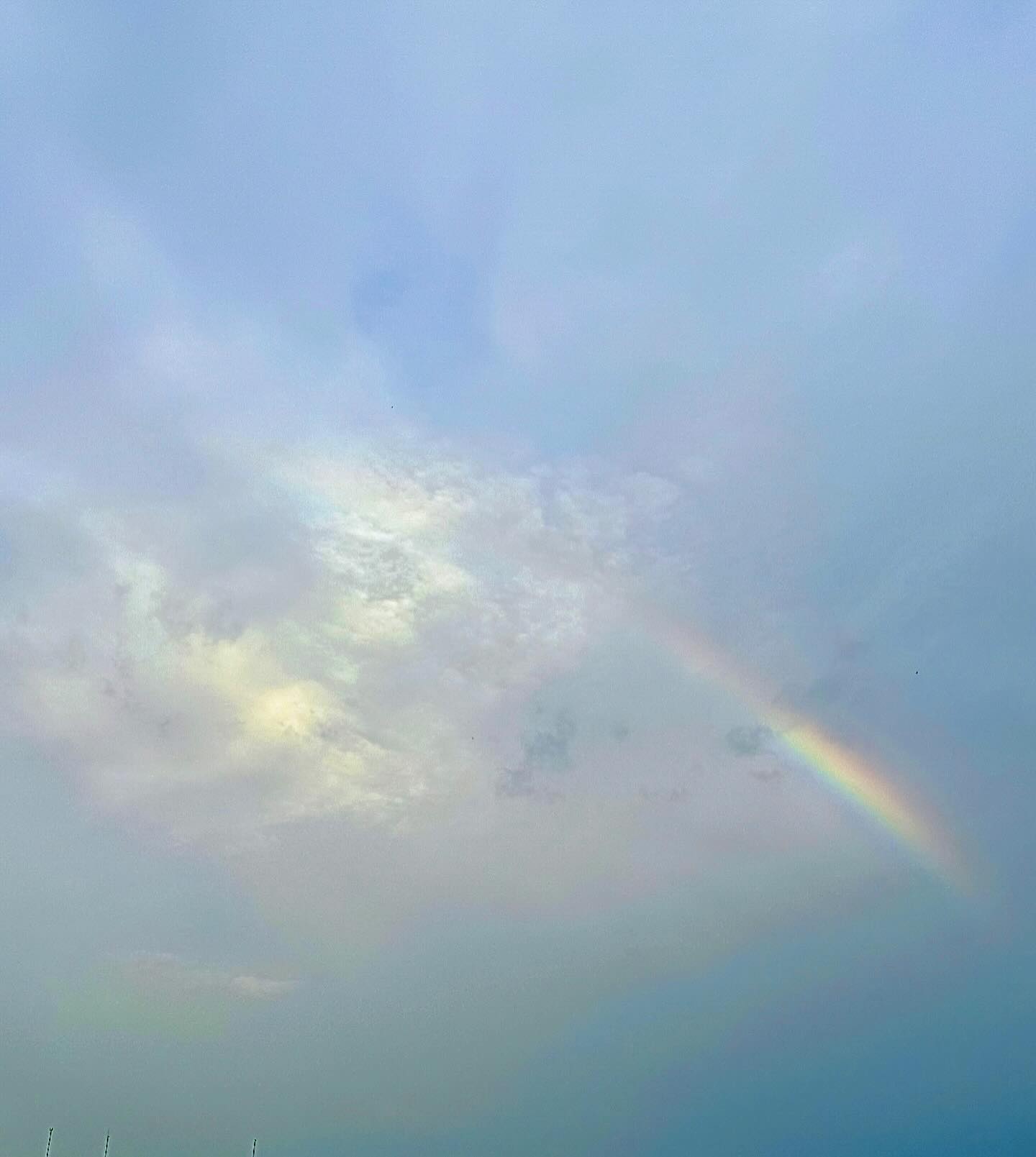 ปุยฝ้าย - ณัฏฐพัชร วิพัธครตระกูล