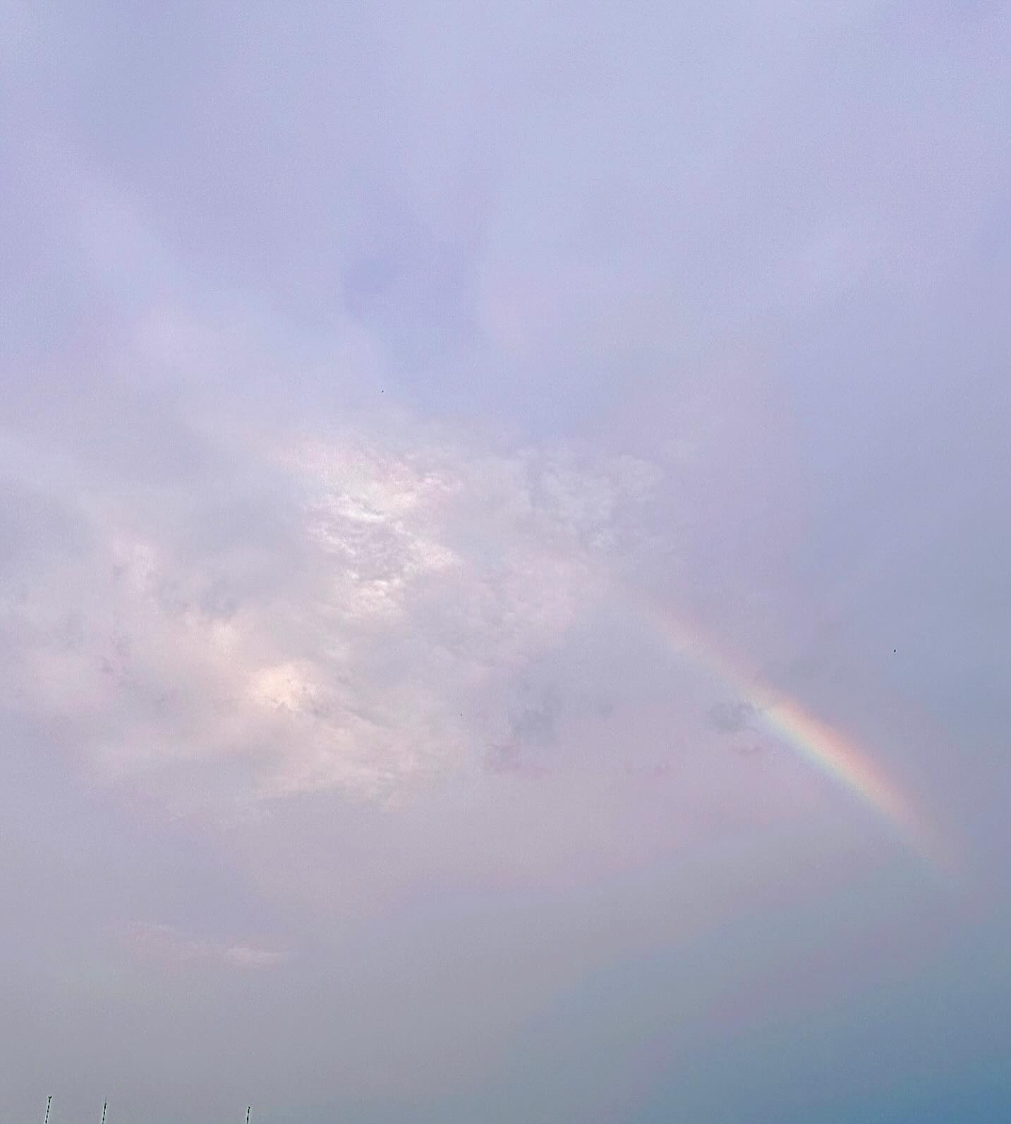 ปุยฝ้าย - ณัฏฐพัชร วิพัธครตระกูล