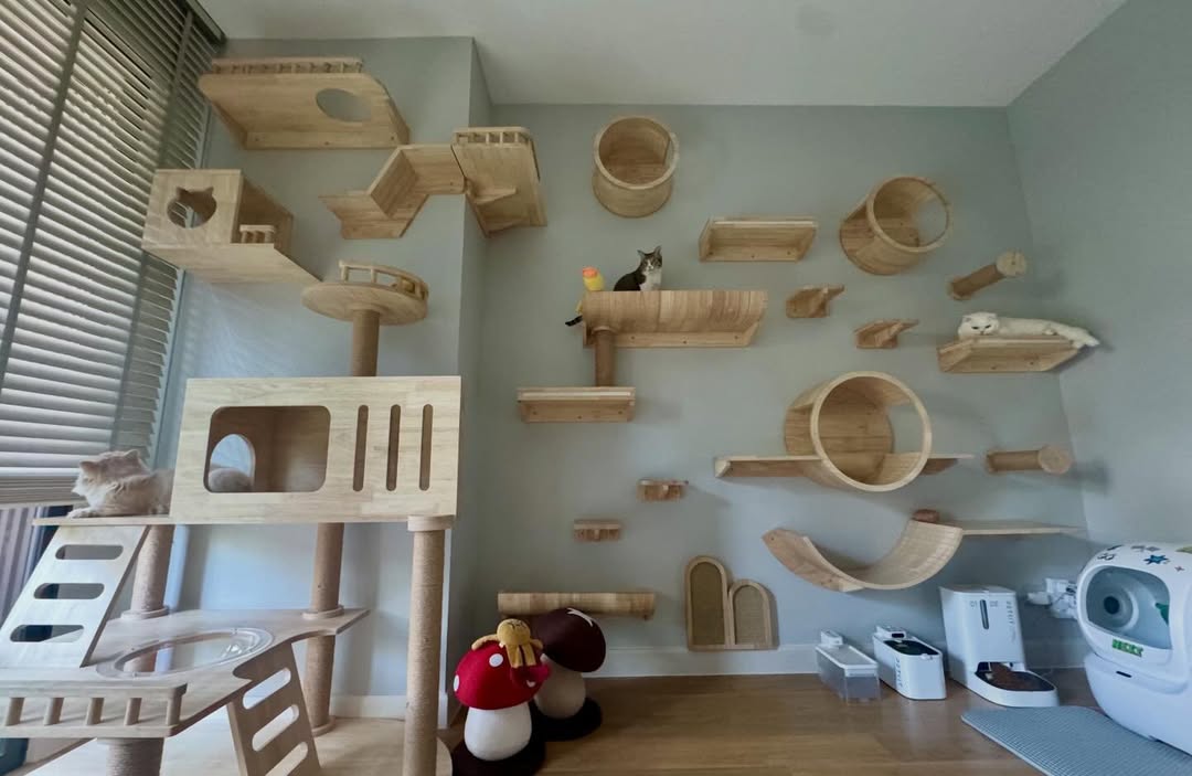 ปุยฝ้าย - ณัฏฐพัชร วิพัธครตระกูล