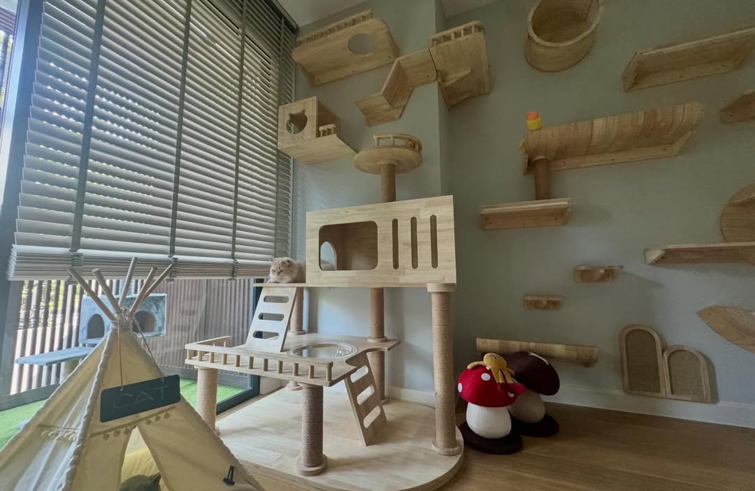 ปุยฝ้าย - ณัฏฐพัชร วิพัธครตระกูล