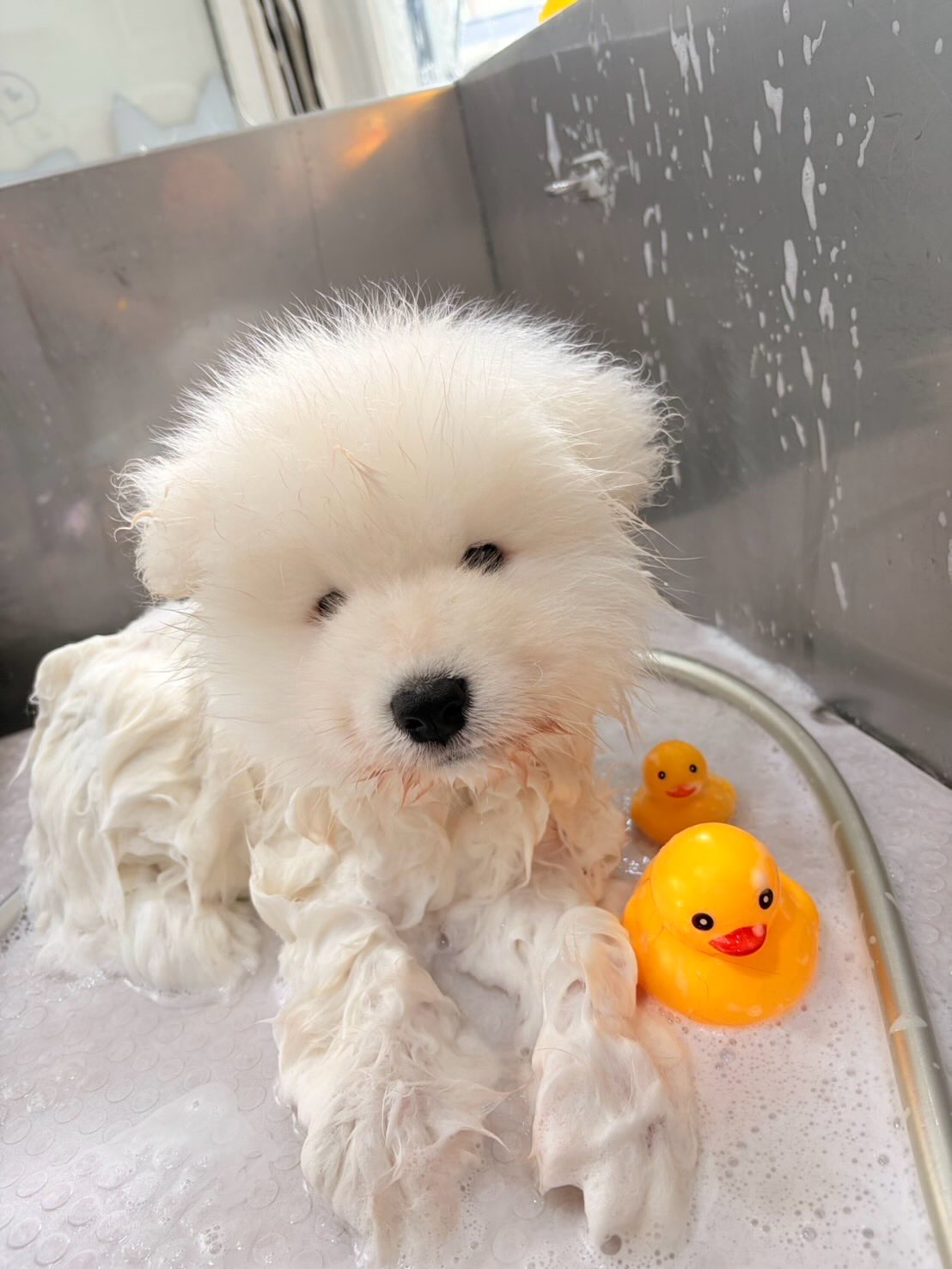 ปุยฝ้าย - ณัฏฐพัชร วิพัธครตระกูล