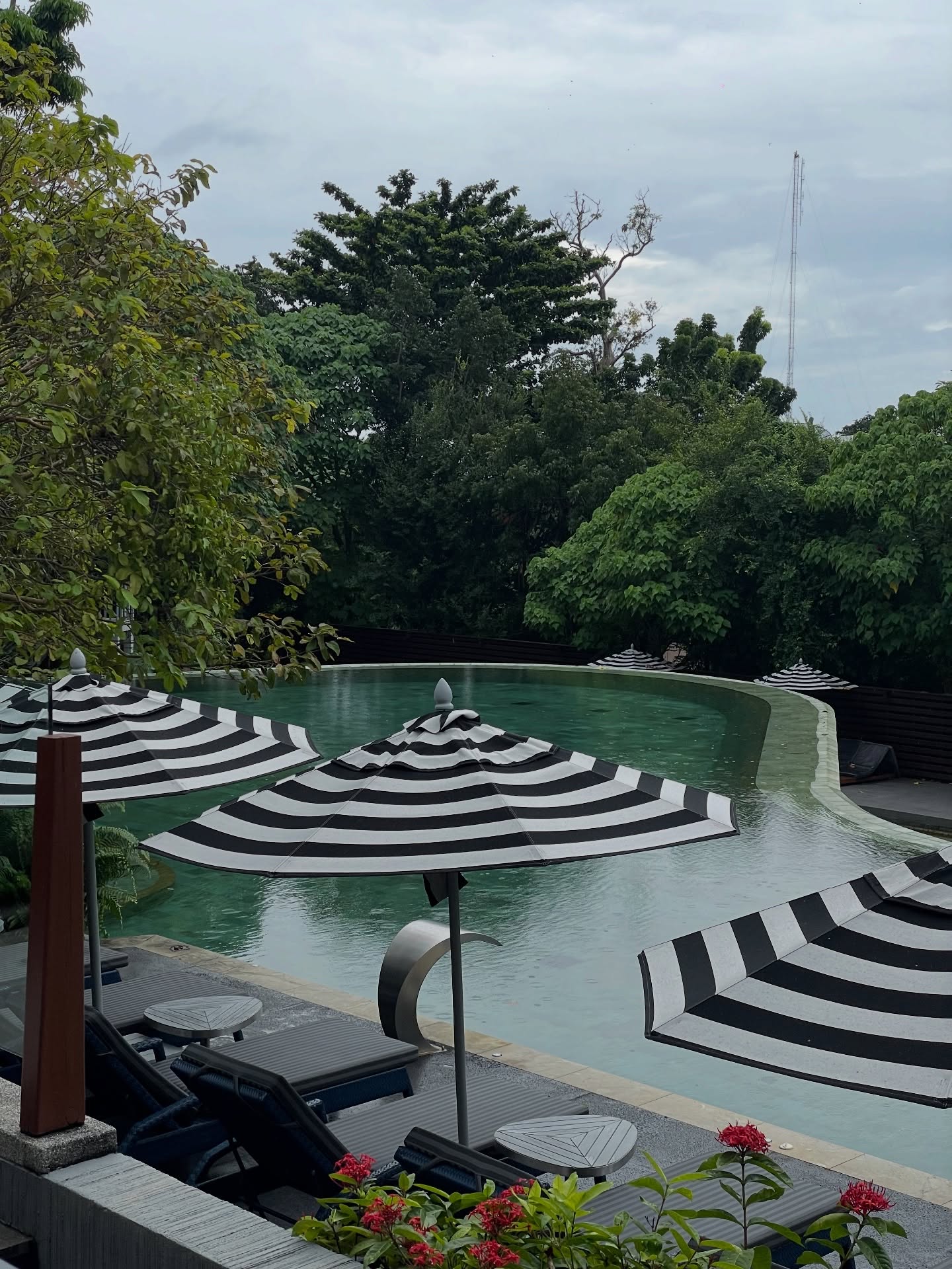 เปรี้ยว - ทัศนียา การสมนุช