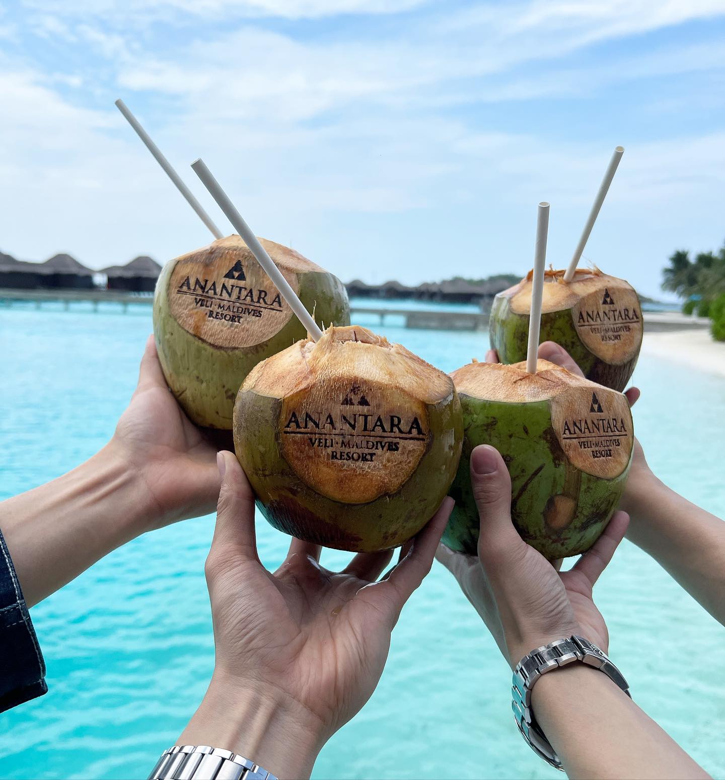 ต้าห์อู๋ - พิทยา แซ่ฉั่ว