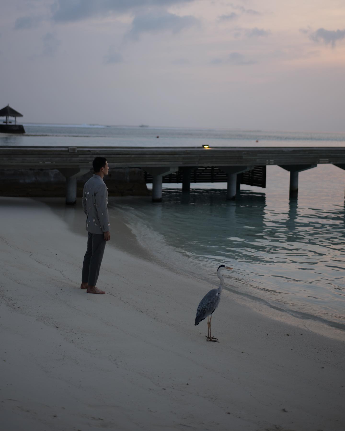 ต้าห์อู๋ - พิทยา แซ่ฉั่ว