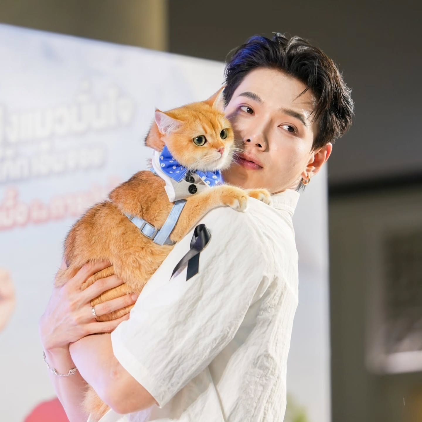 ต้าห์อู๋ - พิทยา แซ่ฉั่ว