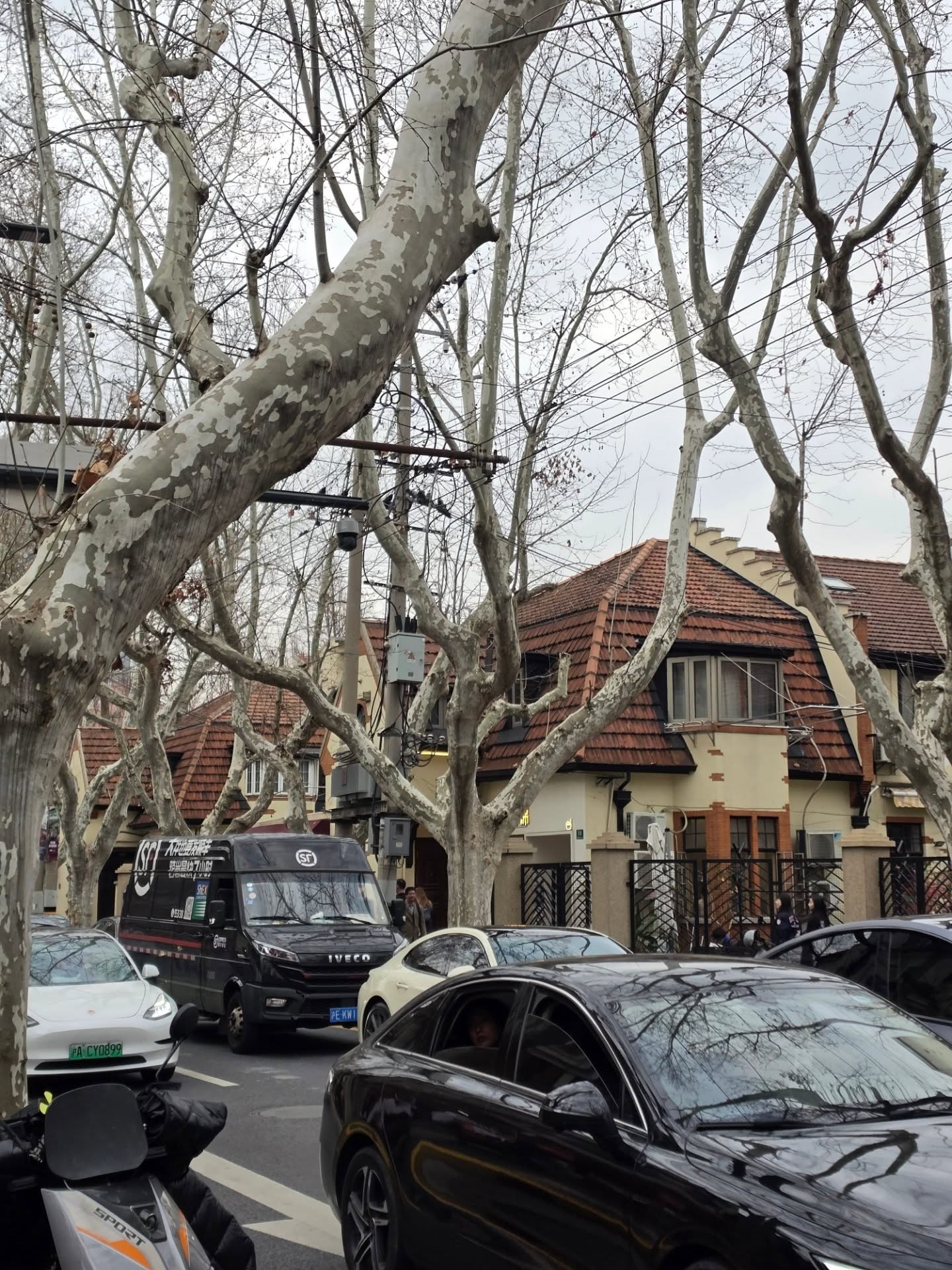 ต้าห์อู๋ - พิทยา แซ่ฉั่ว