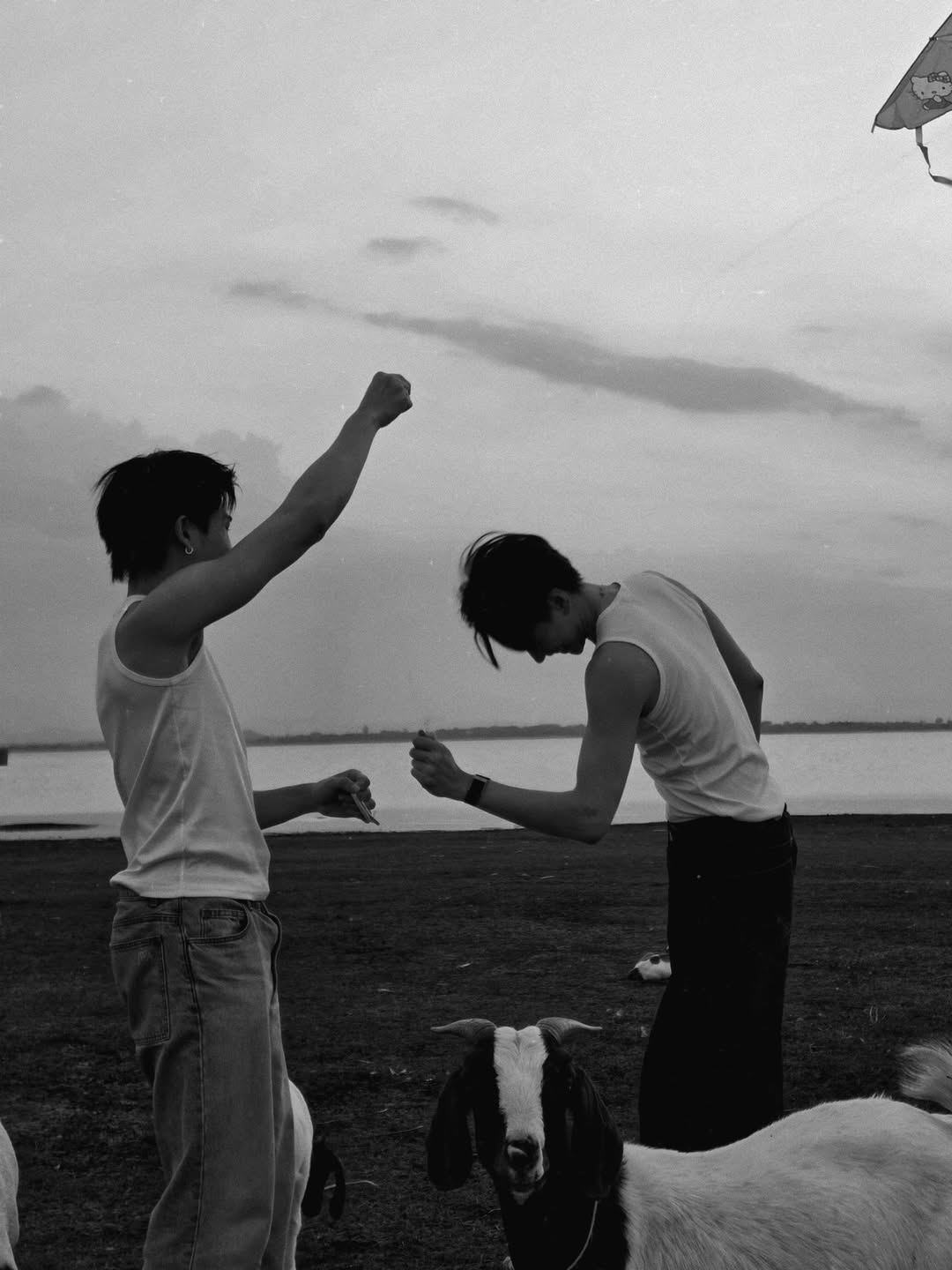 ต้าห์อู๋ - พิทยา แซ่ฉั่ว