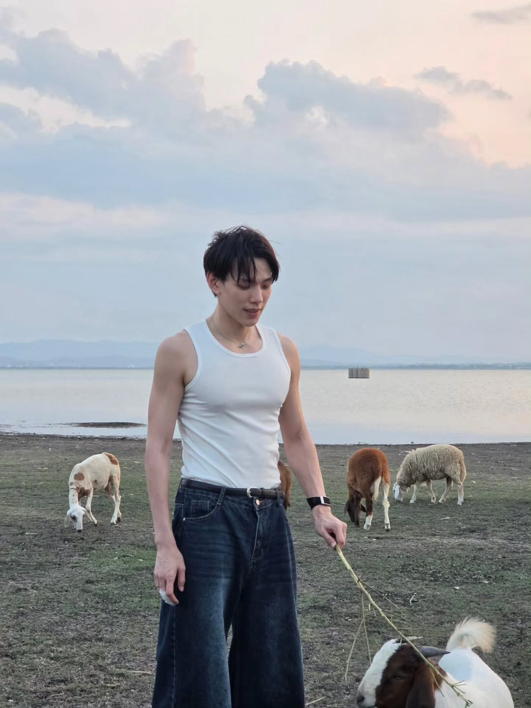 ต้าห์อู๋ - พิทยา แซ่ฉั่ว