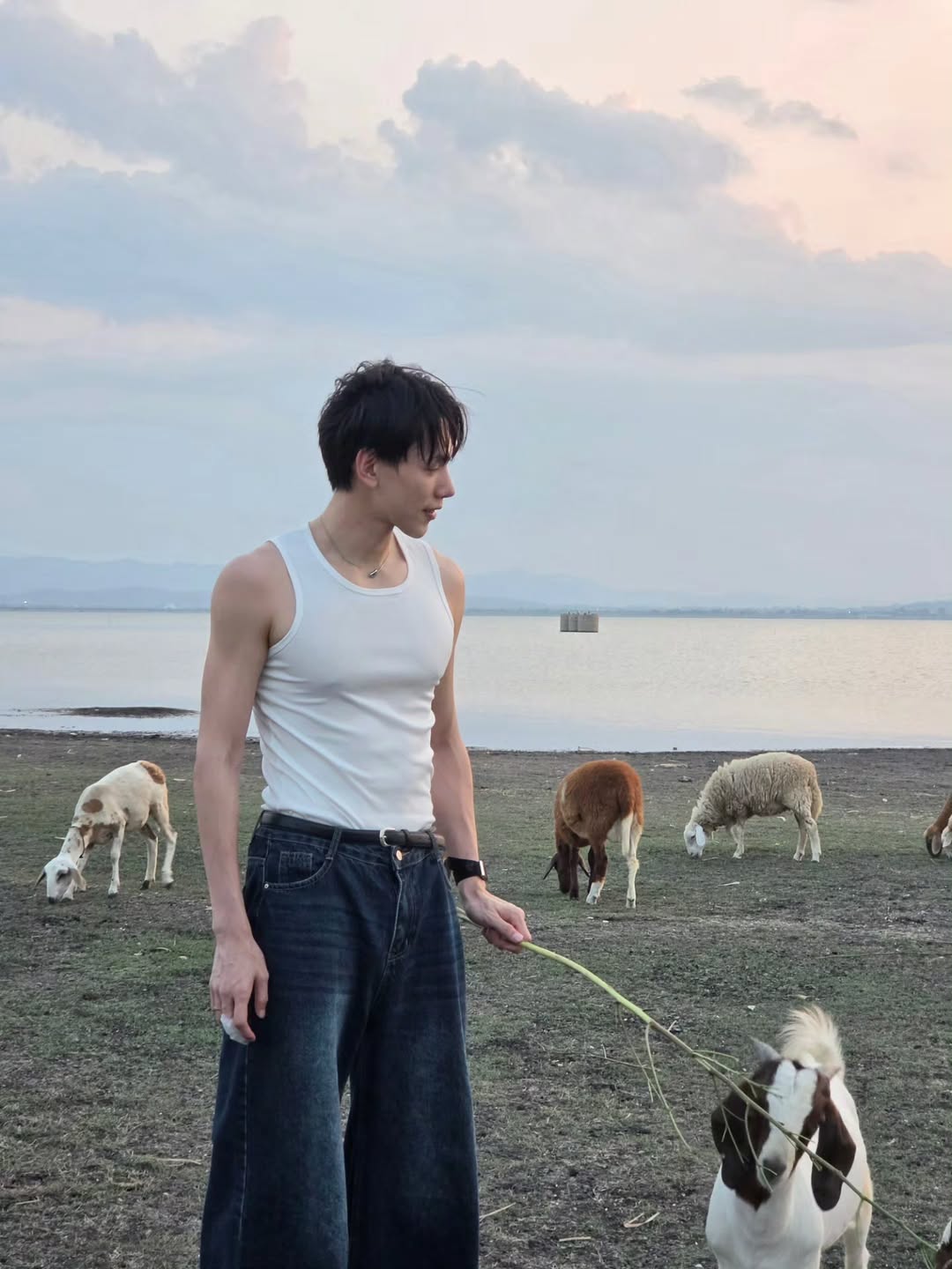 ต้าห์อู๋ - พิทยา แซ่ฉั่ว