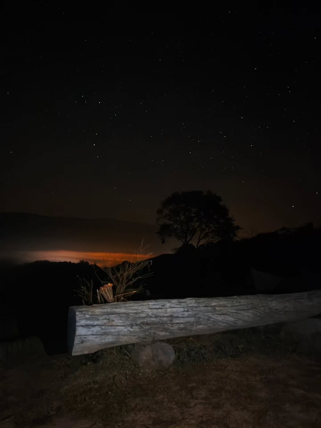 คิมม่อน - วโรดม เข็มมณฑา