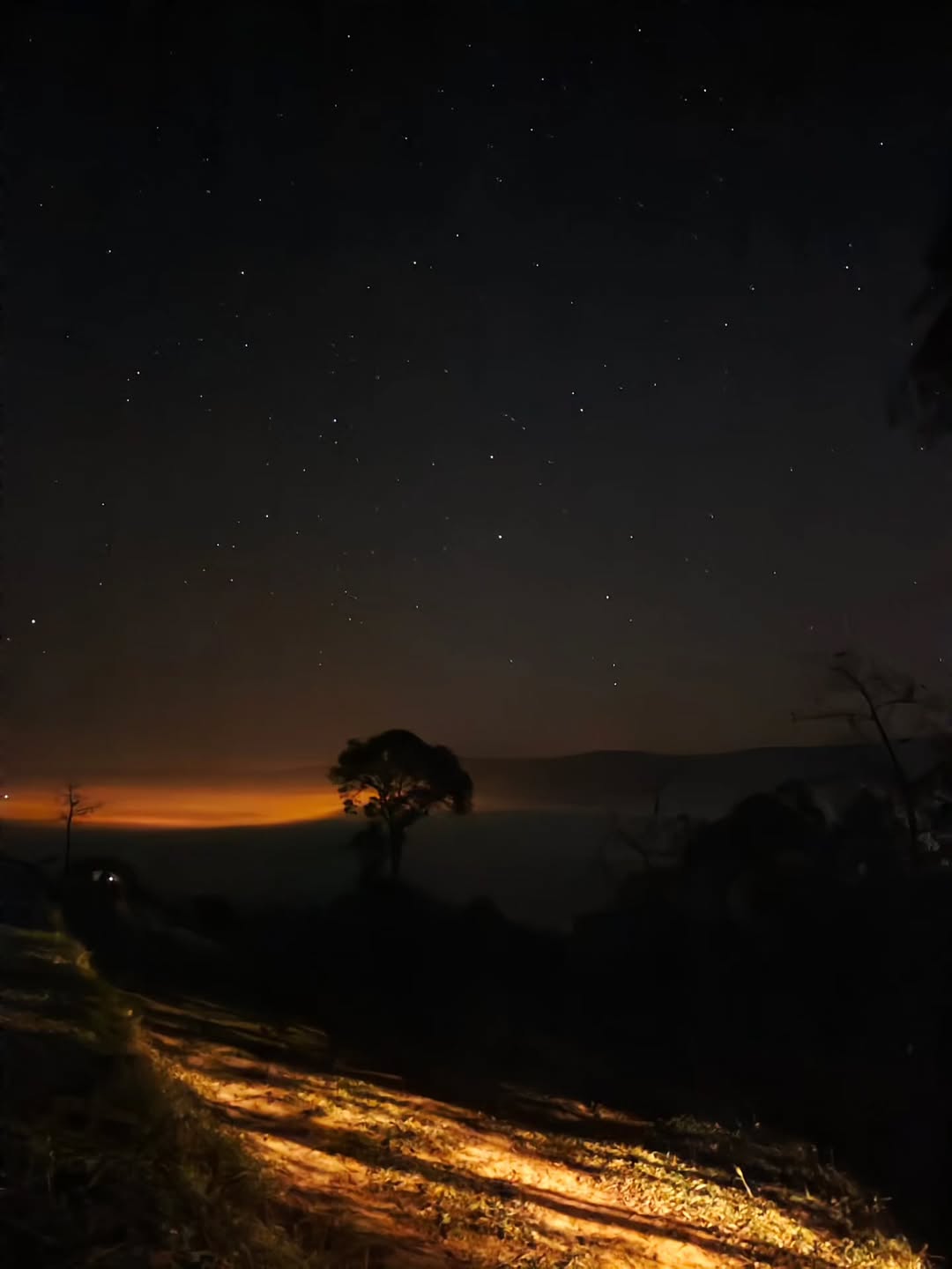 คิมม่อน - วโรดม เข็มมณฑา