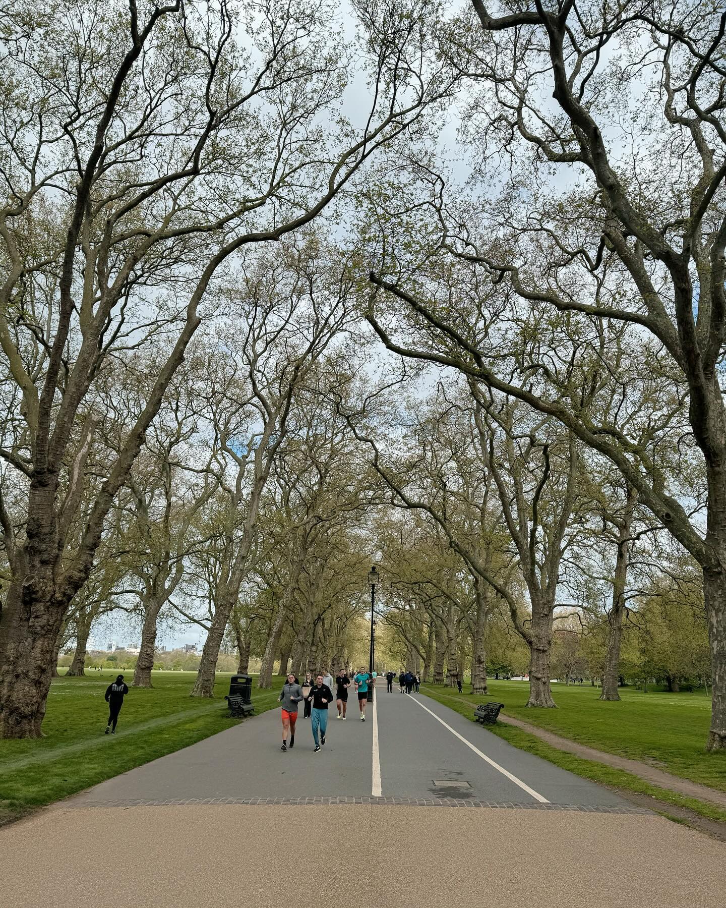 เต้ย - พงศกร เมตตาริกานนท์