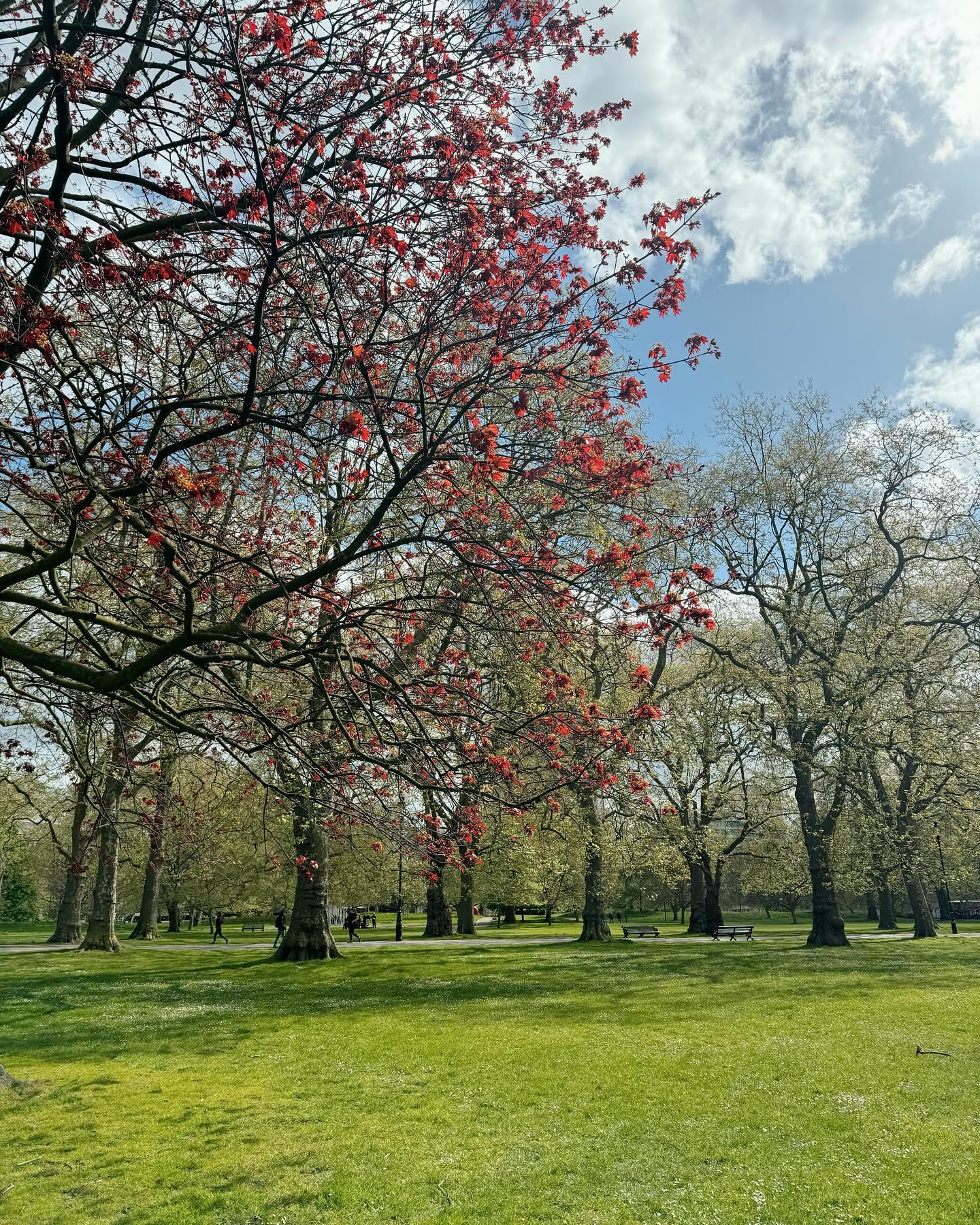 เต้ย - พงศกร เมตตาริกานนท์