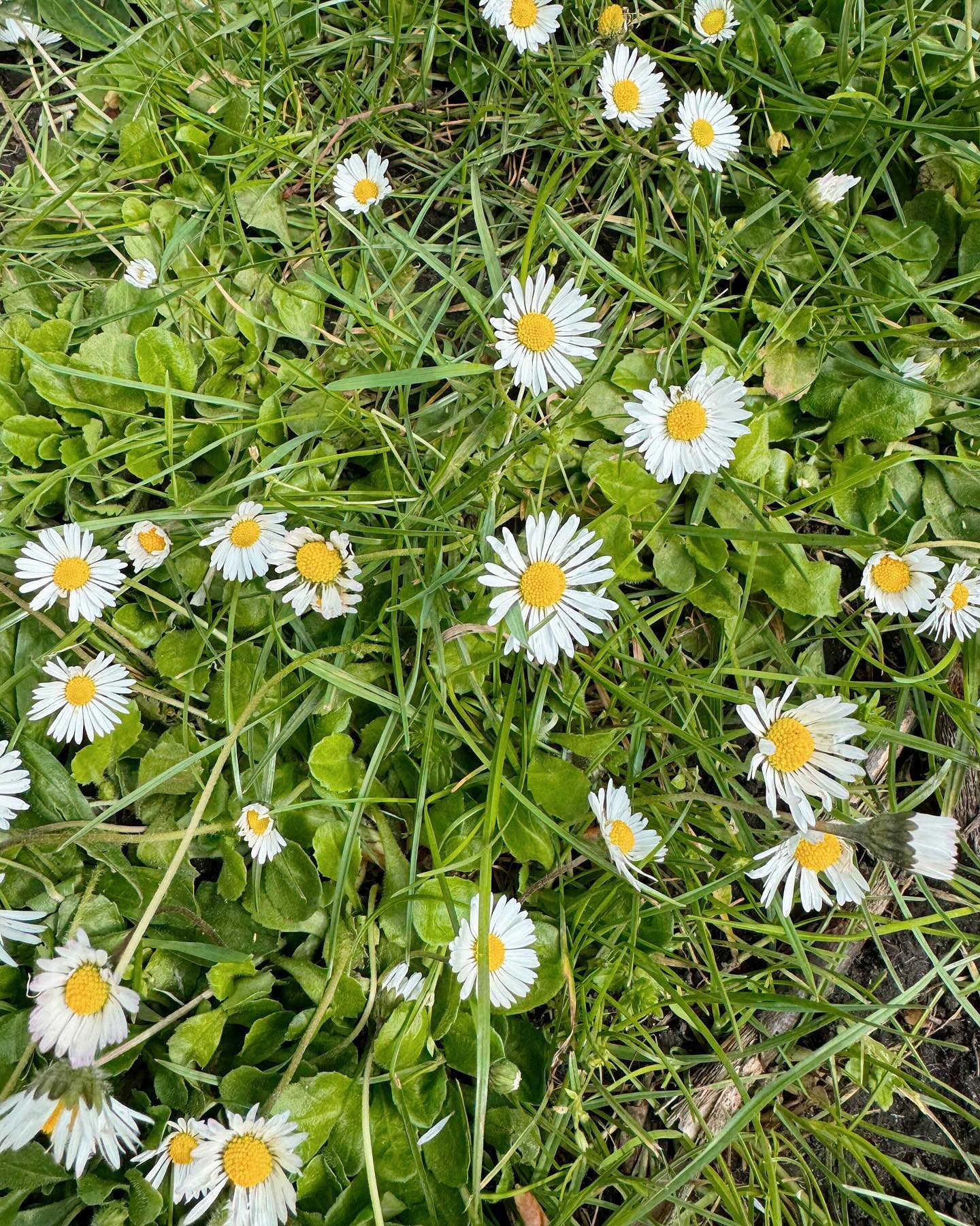 เต้ย - พงศกร เมตตาริกานนท์