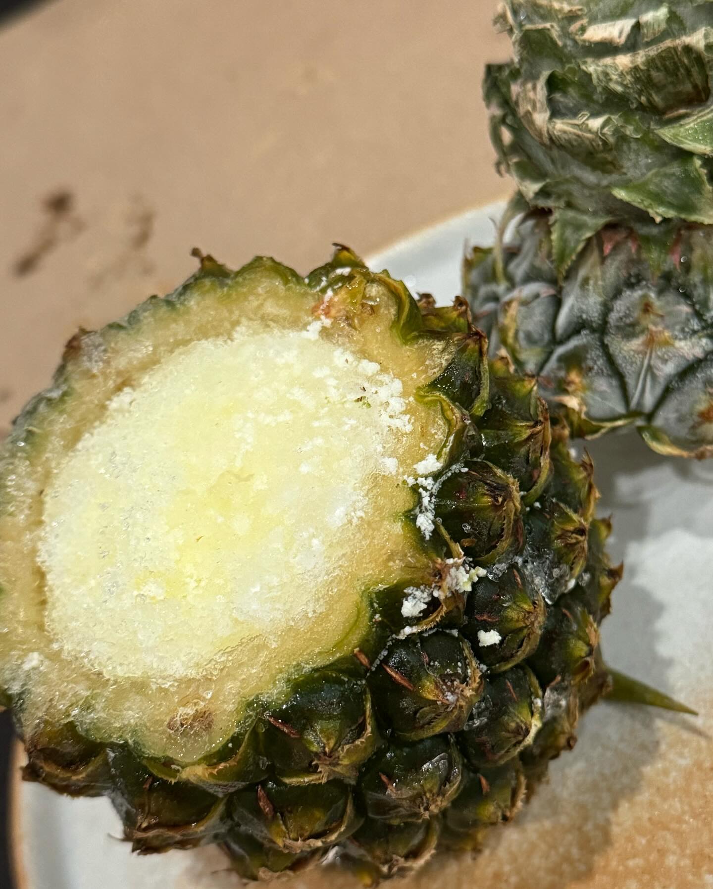 เต้ย - พงศกร เมตตาริกานนท์